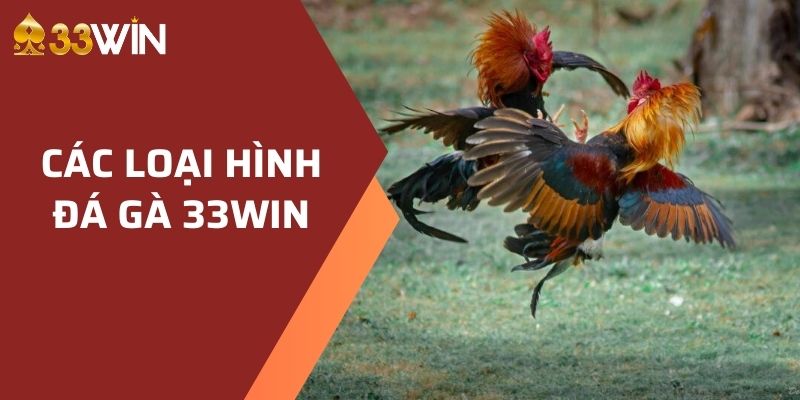 Các loại hình đá gà 33WIN
