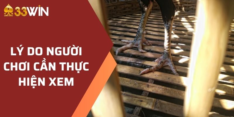 Cách Xem Chân Gà Đá Chuẩn Xác Nhất Dành Cho Tân Thủ 2 Lý do người chơi cần thực hiện xem